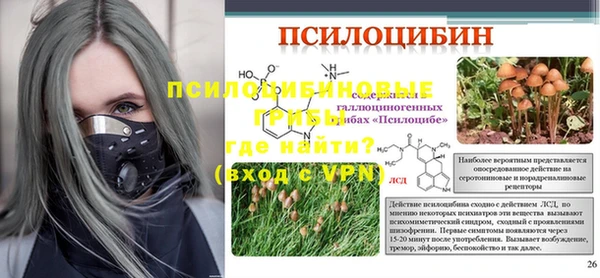 дживик Алексин